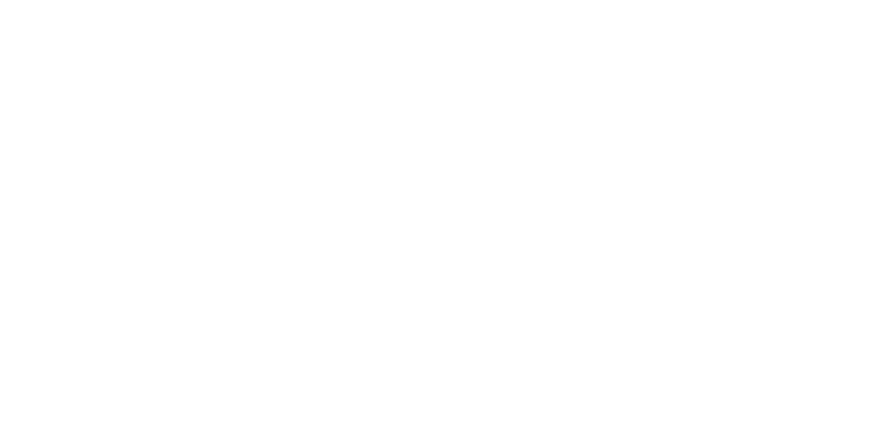 Wild Fun Zone